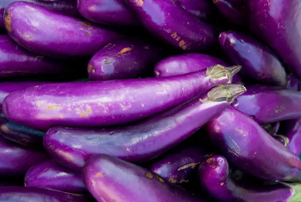 What color is eggplant purple?