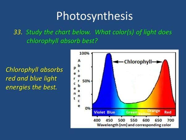 Why is the color of light important for photosynthesis?