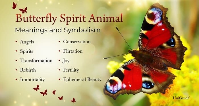 What does butterfly symbolizes in psychology?