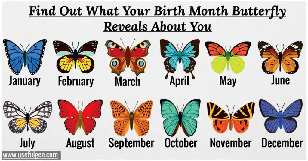 What is the meaning of butterfly in birthday?