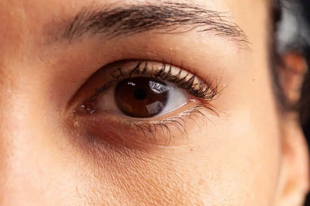 Are chocolate brown eyes rare?
