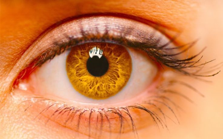 What do orange eyes symbolize?