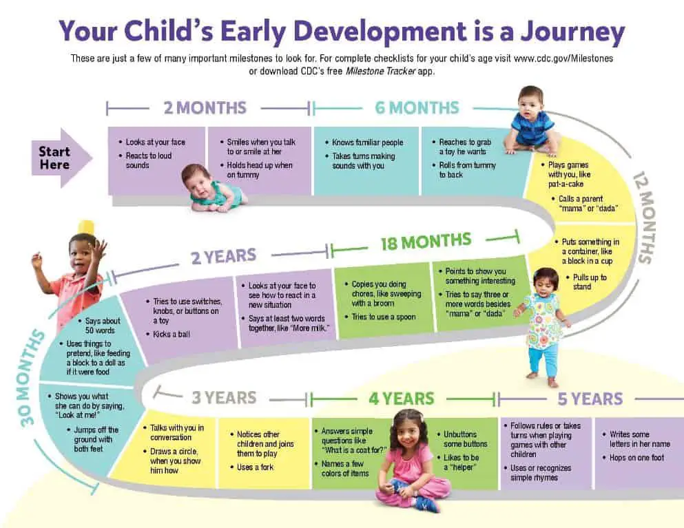 What should a 2 year old know academically?