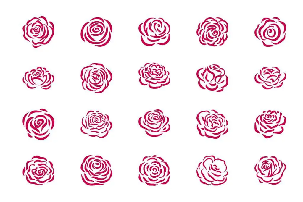 What rose symbols?