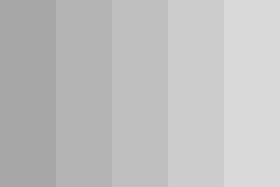What colors go with the light gray?