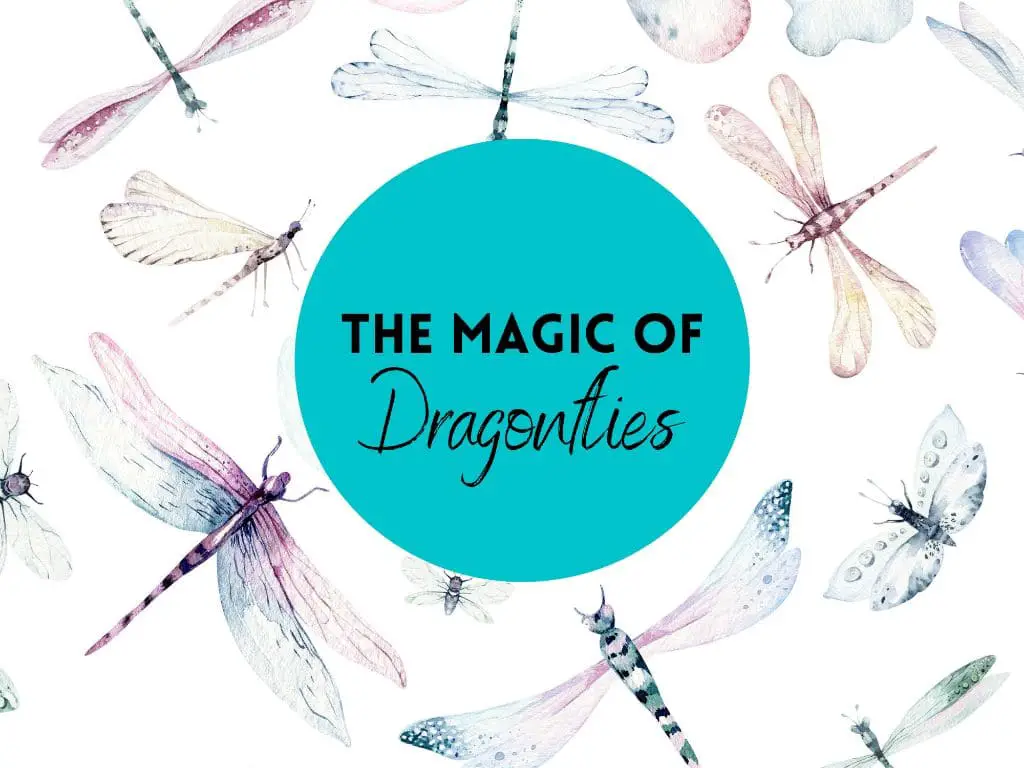Do dragonflies symbolize angels?