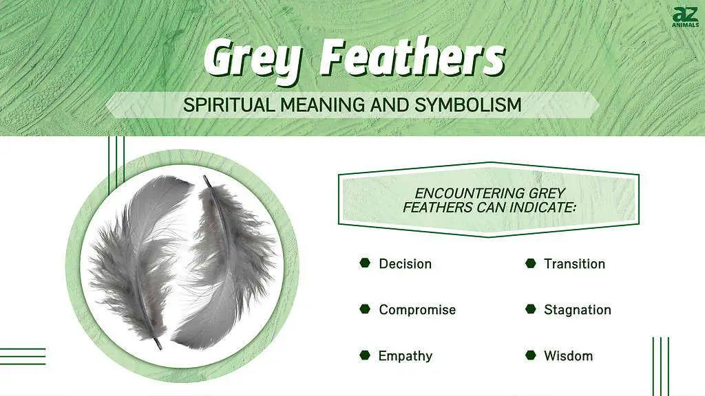 What does it mean when a feather suddenly appears?