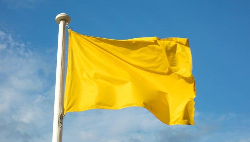 What does yellow mean on a flag?