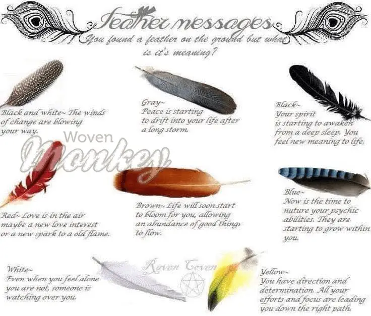 What does it mean to find a feather on the ground?