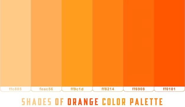 What color does orange go well with?
