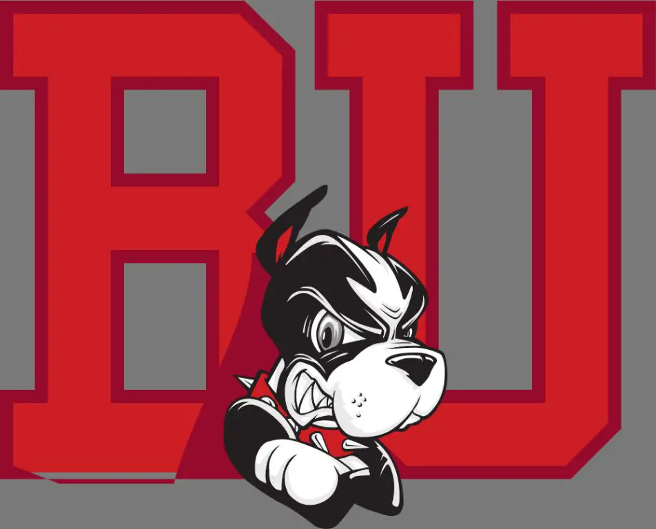What are the colors of the Boston University theme?