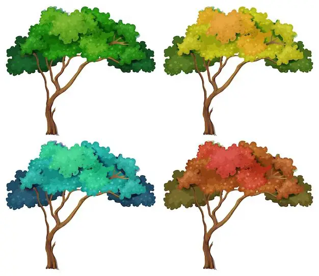 What colors do different trees turn