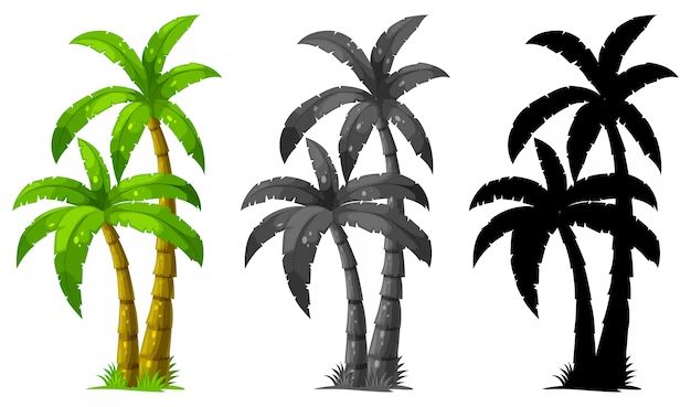 What color can palm trees be