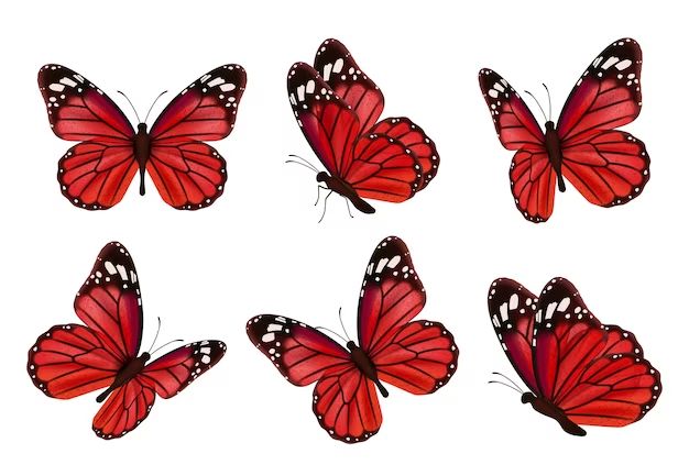 Where are red butterflies found
